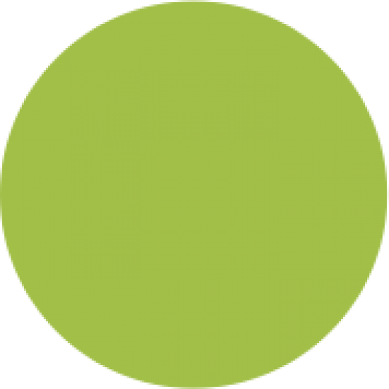 Flex CAD-CUT SportsFilm, Apple Green 421